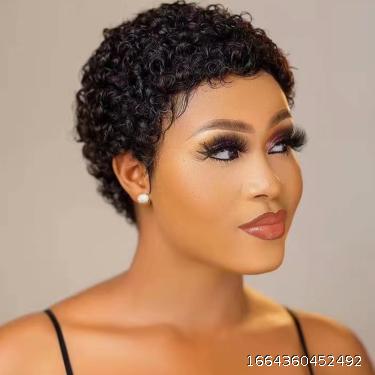 Short Afro Wig Curly Human Hair Wigs