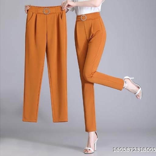 Harlan Pants Women's New High Waist Slim Casual Versatile Flesh Covering Elastic Trend Professional Suit Commuter Short Feet Pants