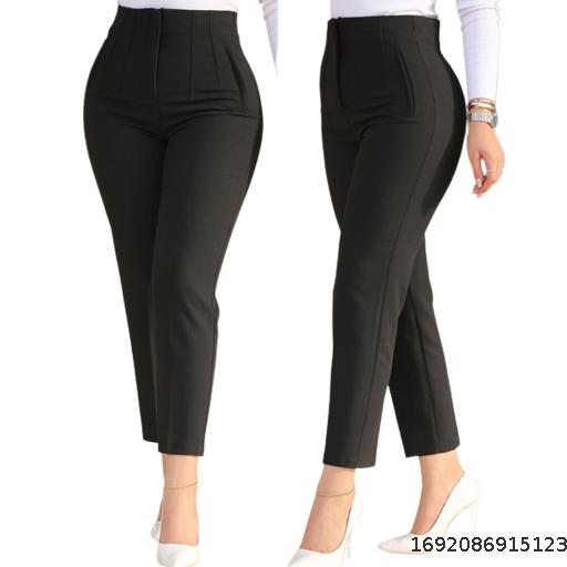 2023 Spring European and American Fashion Explosives Workplace Women's Suits Casual Versatile 9/4 Pants Temperament Commuter Pants Summer