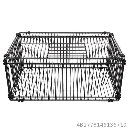 Only enter and not exit pigeon cage